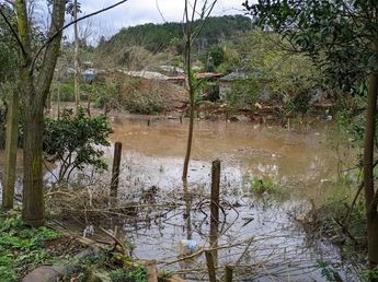 El Niño: Misiones y Brasil refuerzan la prevención ante una posible crecida del río Uruguay