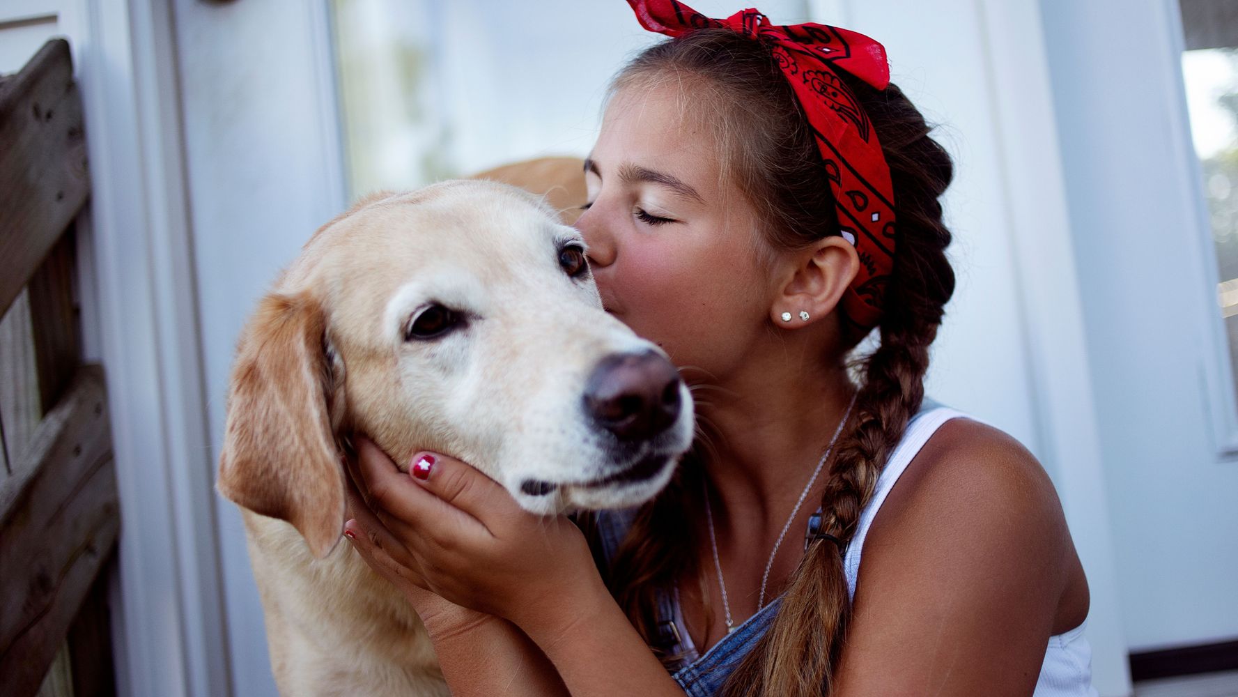 La edad de los perros es diferente a la de los humanos.