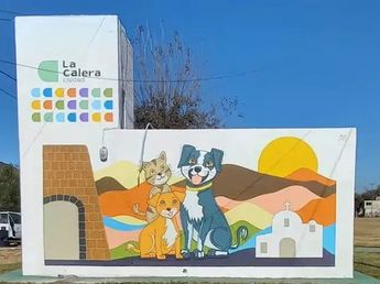 Córdoba: salvaje ataque a un veterinario por la muerte de una perra durante una castración