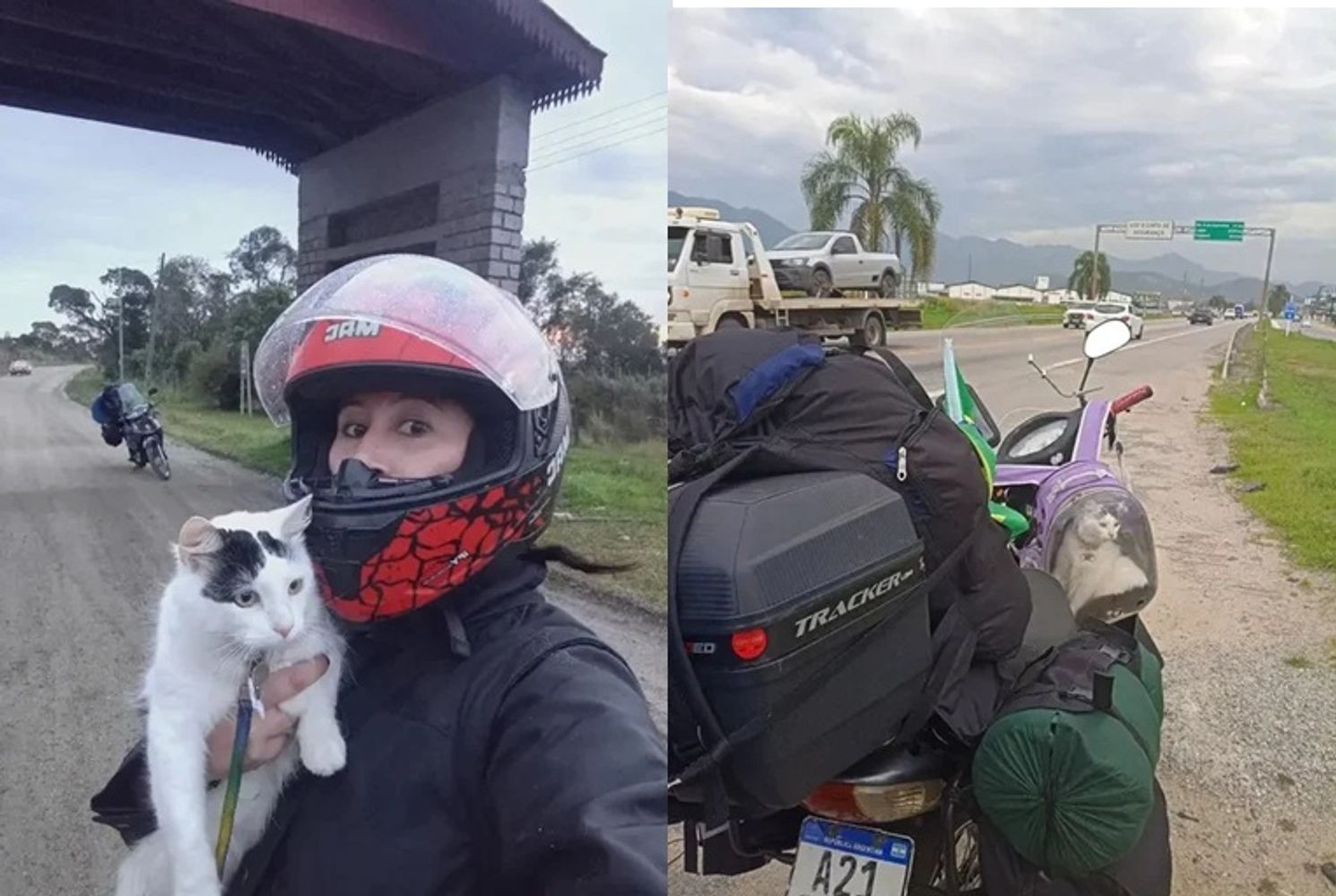 Una misionera recorre Brasil en moto junto a su gata y sueña con continuar la travesía por Sudamérica.