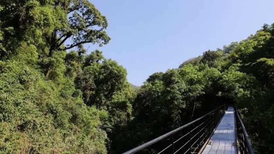 Funiculares: un paseo entre la Yunga y la historia