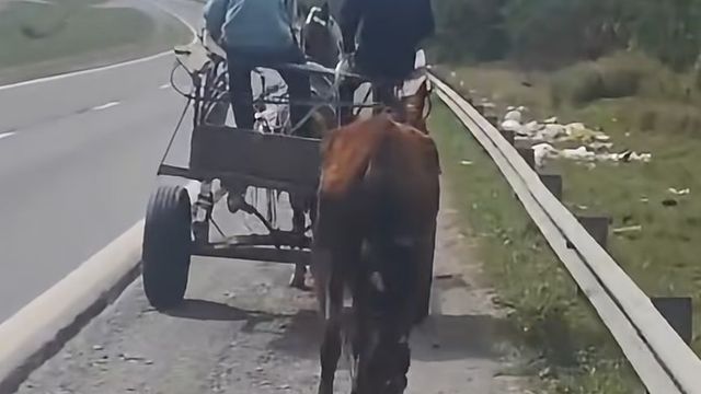 Intentaron escapar golpeando a los caballos que los trasladaban en un carro.