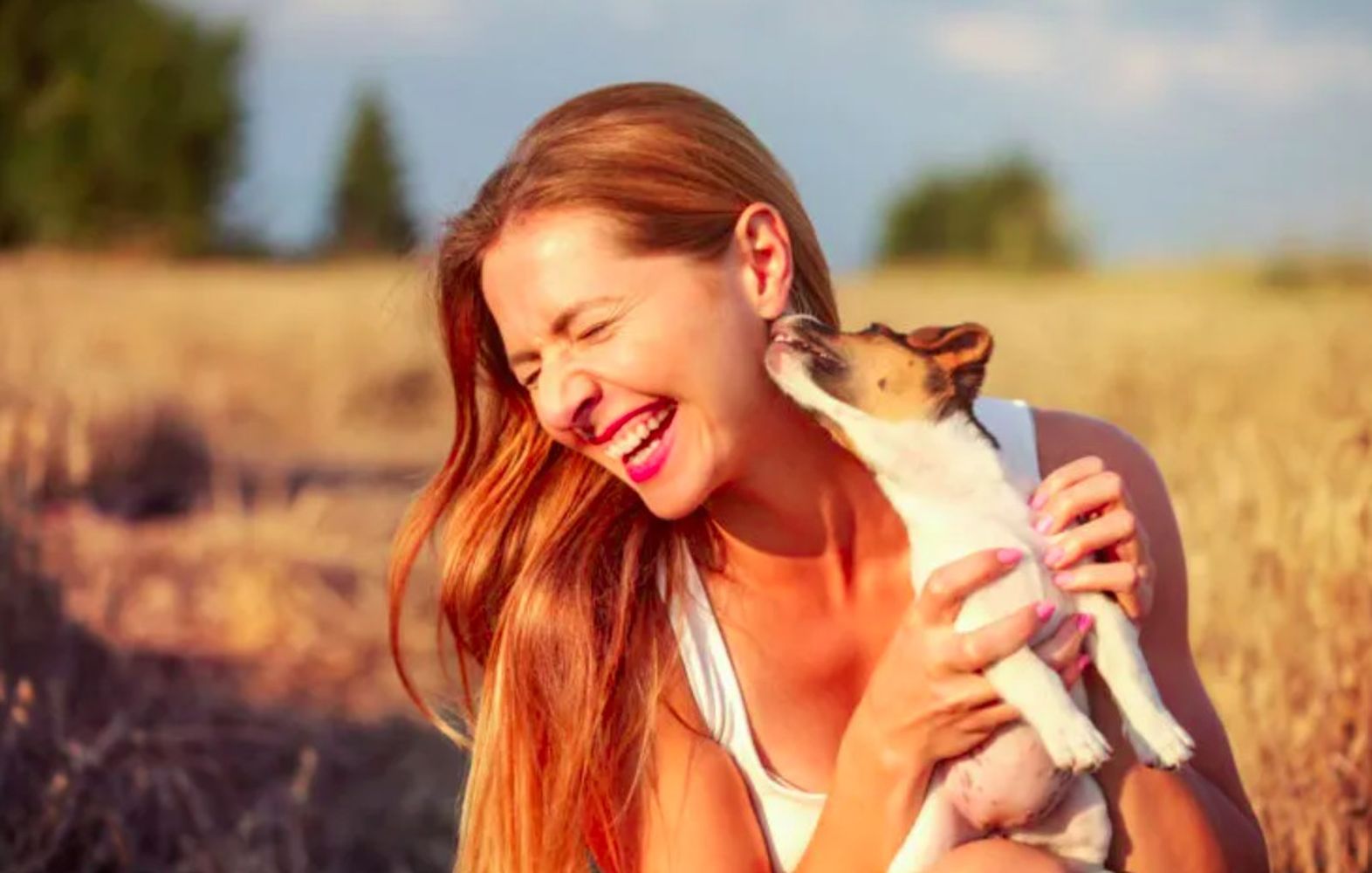 Si tu perro te chupa o lame no es sólo porque te quiera mucho, afirman los veterinarios 