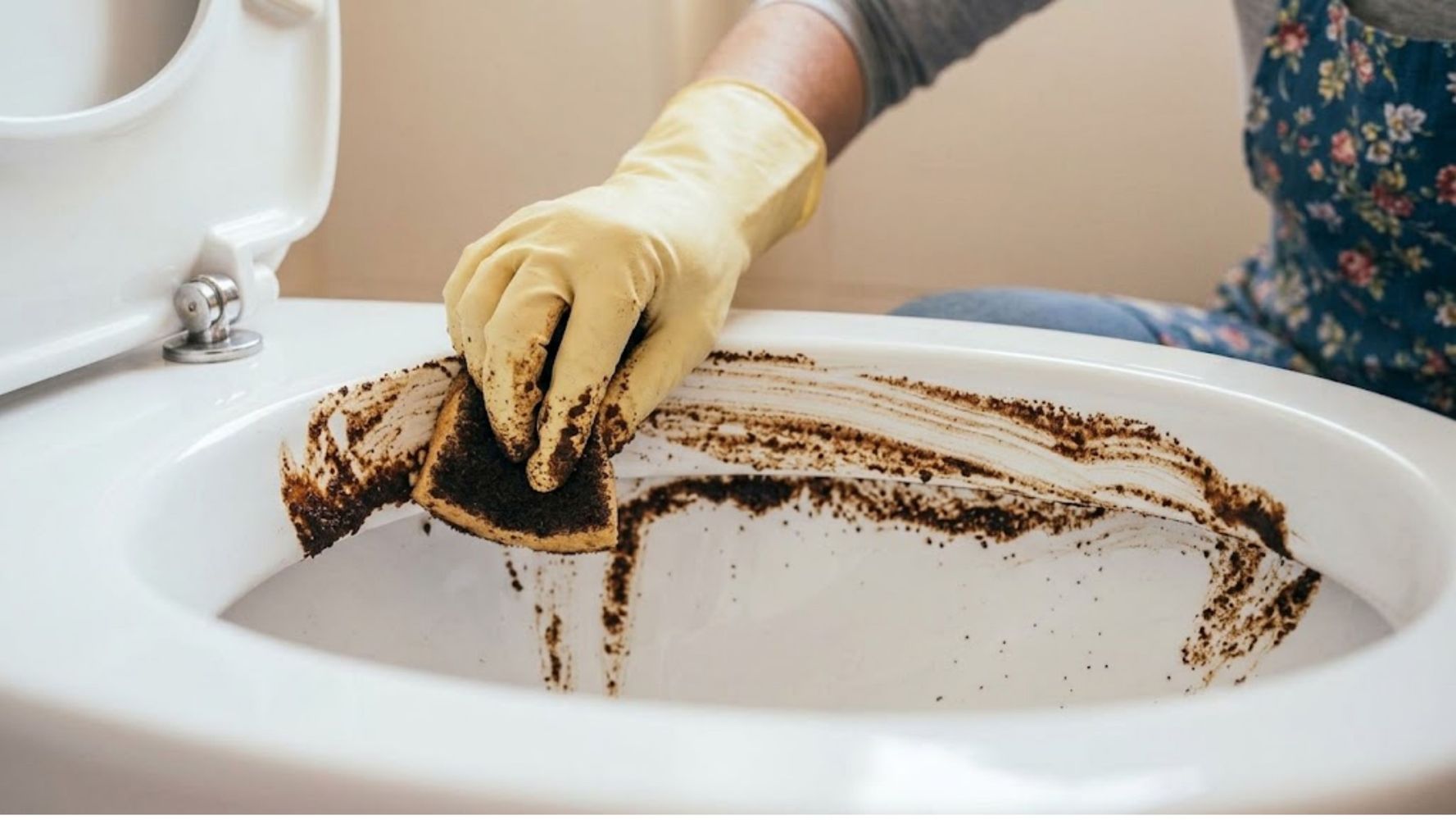 Por qué sirve limpiar el inodoro con café.