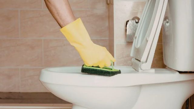 Si tu bidet o inodoro tiene sarro, podés quitar las manchas con solo dos ingredientes: detergente y ácido cítrico