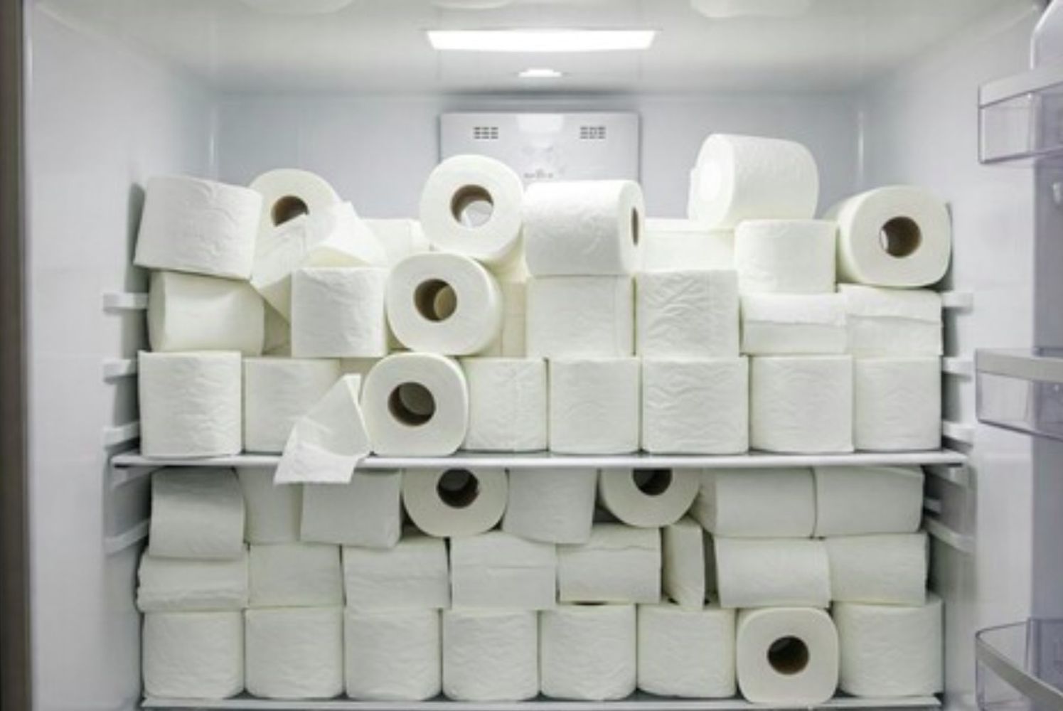 Meter un rollo de papel higiénico en la heladera: para qué sirve y por qué lo recomiendan