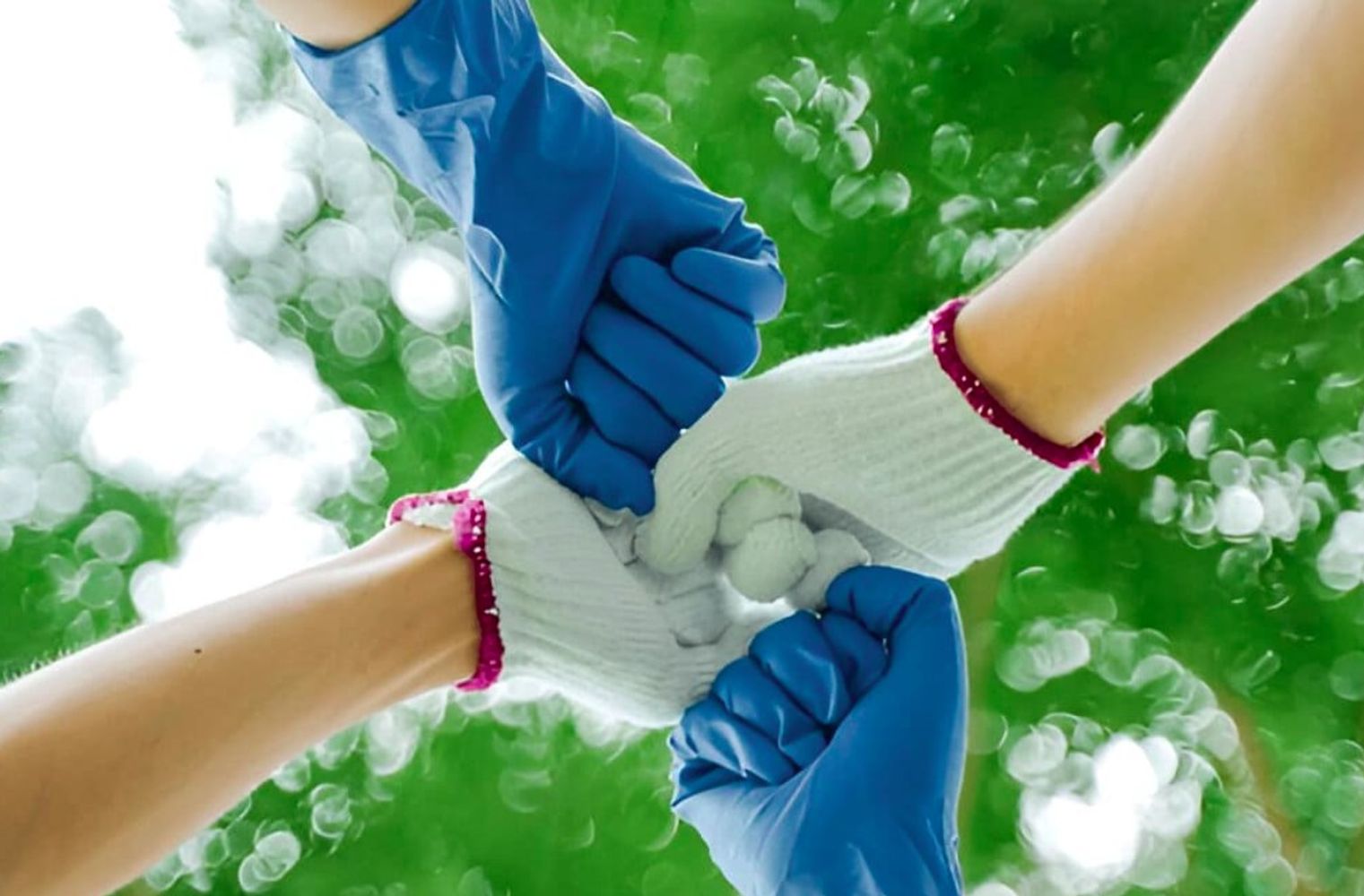 Limpieza ecológica: cuál es la diferencia entre bicarbonato, percarbonato y ácido cítrico