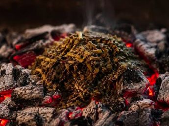 Si tenés yerba usada y cartón tenés un tesoro: podés hacer carbón ecológico para el asado