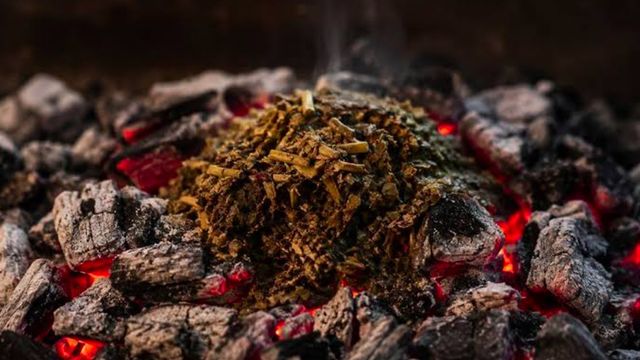 Si tenés yerba usada y cartón tenés un tesoro: podés hacer carbón ecológico para el asado  