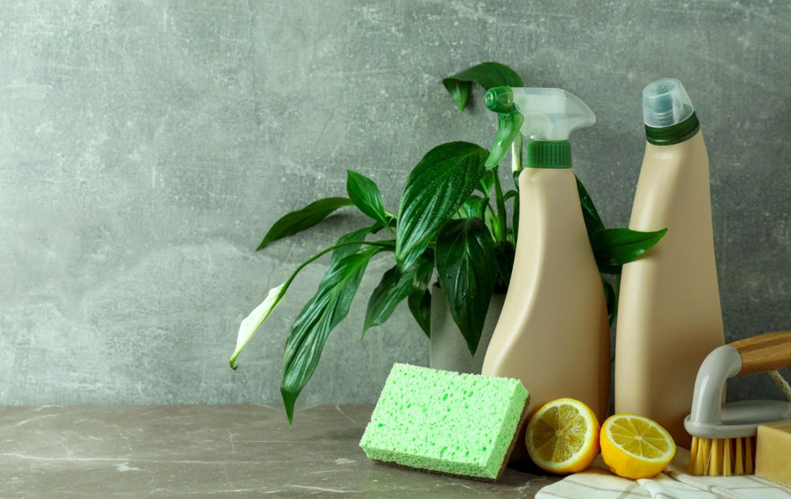 Limpieza ecológica: cuál es la diferencia entre bicarbonato, percarbonato y ácido cítrico