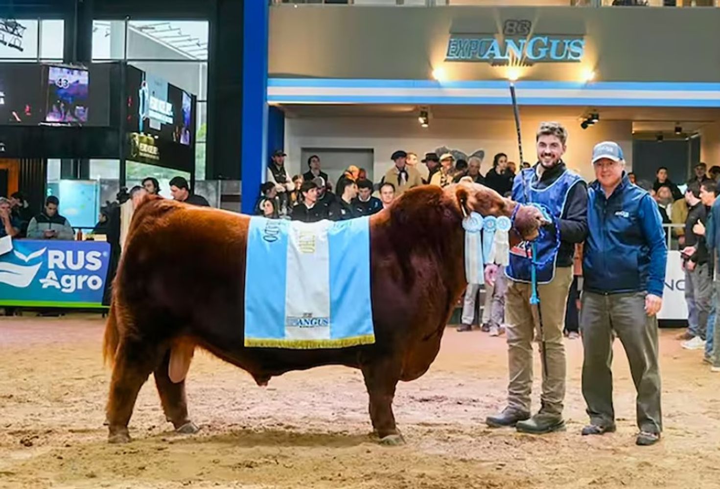 Alvaro Cabaña Santa Rosa