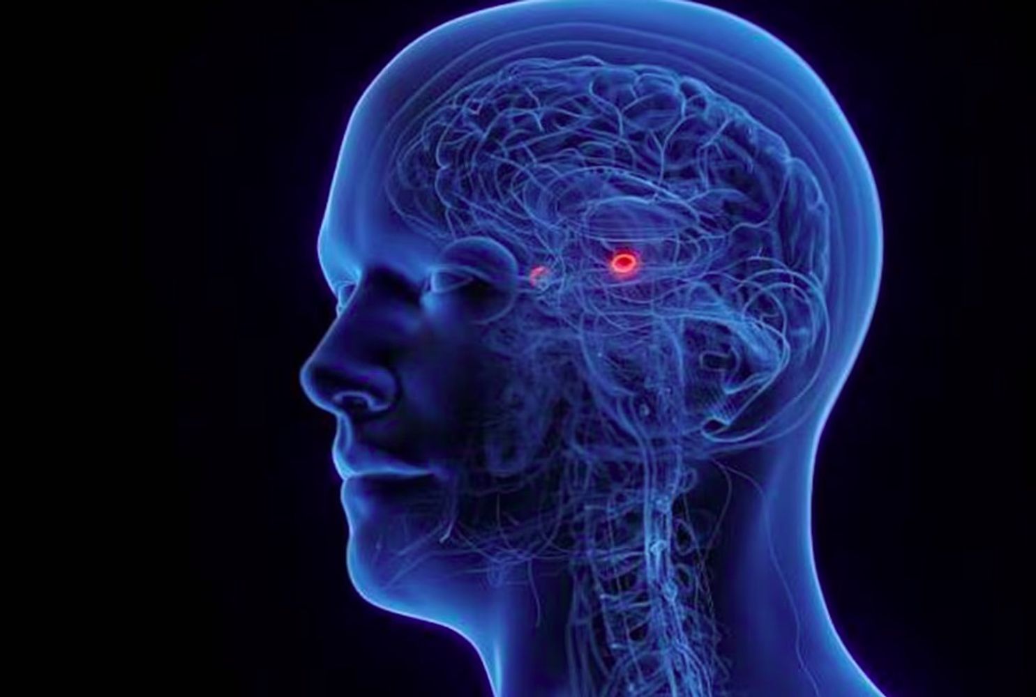 Por qué cuando alguien te dice lo que tenés que hacer, aunque tengas ganas de hacerlo, de repente no lo hacés, según una neuroeducadora