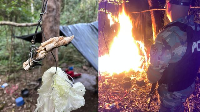Montecarlo: rastrearon huellas y desmantelaron dos campamentos utilizados para caza furtiva.