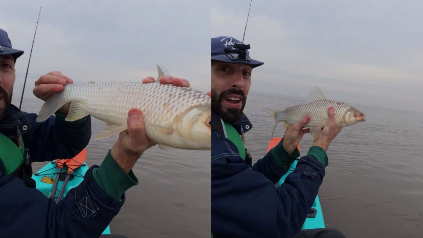 La boga que pescó.