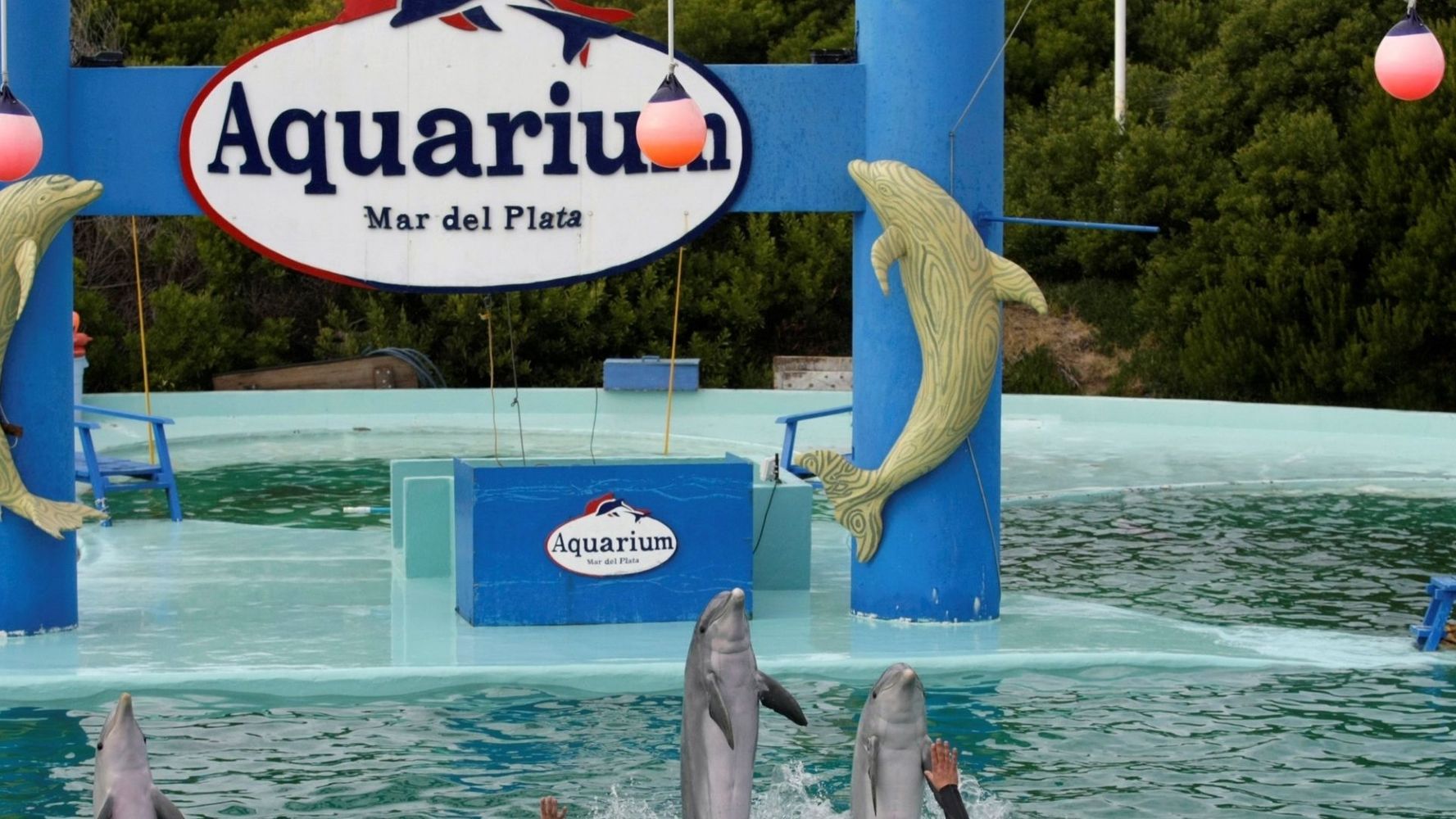 El Aquarium de Mar del Plata cerró y ahora buscan vender 4 pingüinos para pagar sus deudas