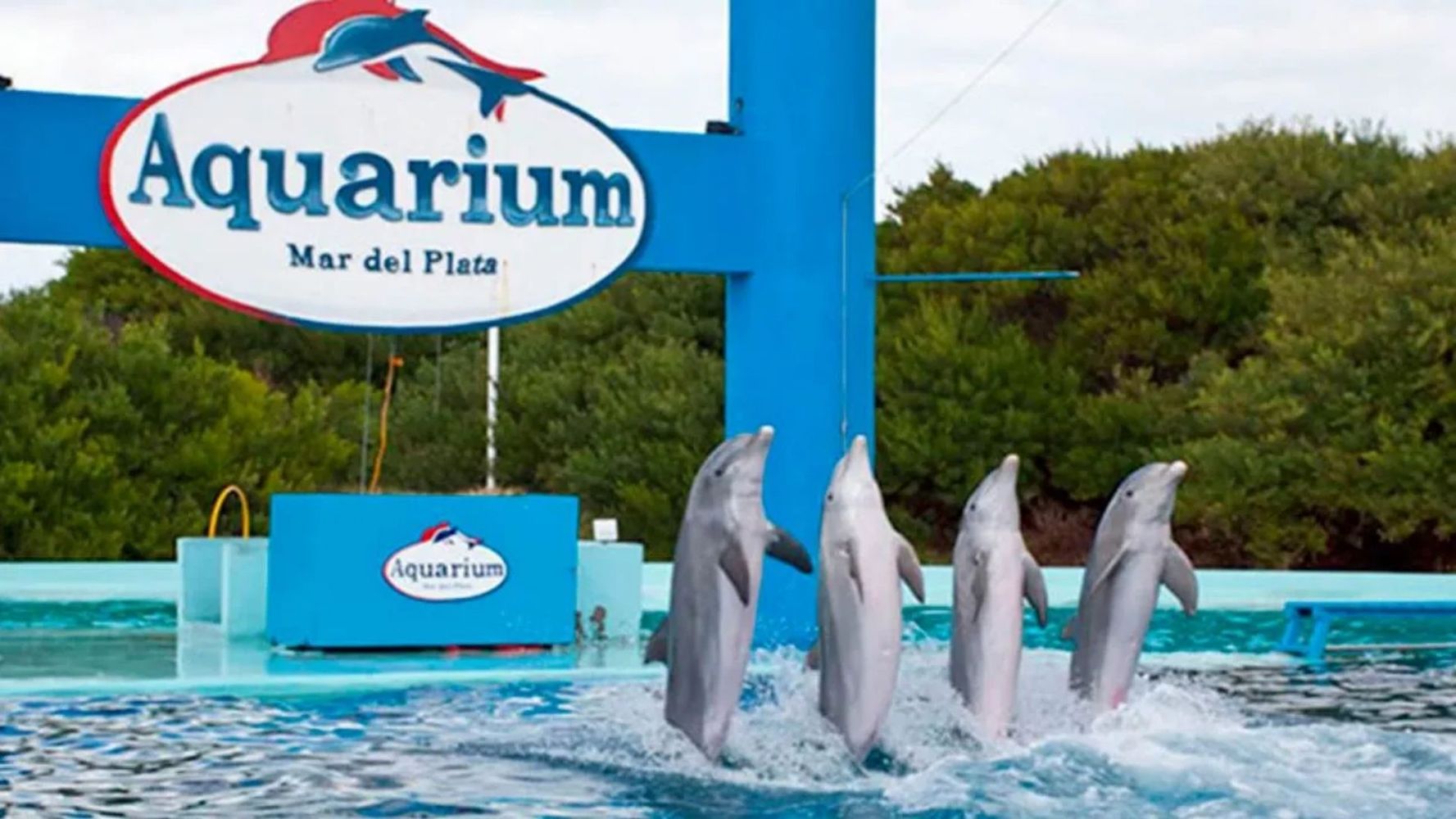 El Aquarium de Mar del Plata cerró y ahora buscan vender 4 pingüinos para pagar sus deudas