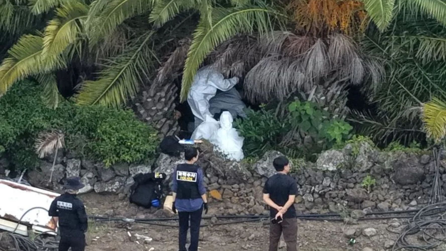 Qué está pasando en la isla de Jeju: el caso que conmociona a Corea del Sur y abre la duda sobre un asesino serial