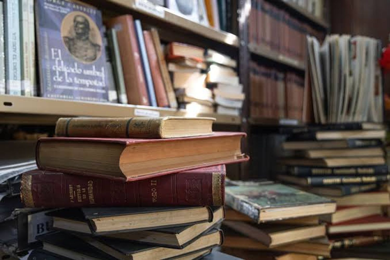 Ray Bradbury, escritor: "Sin bibliotecas, ¿Qué tenemos? Ni pasado ni futuro" y por qué la memoria es tu mejor aliada hoy