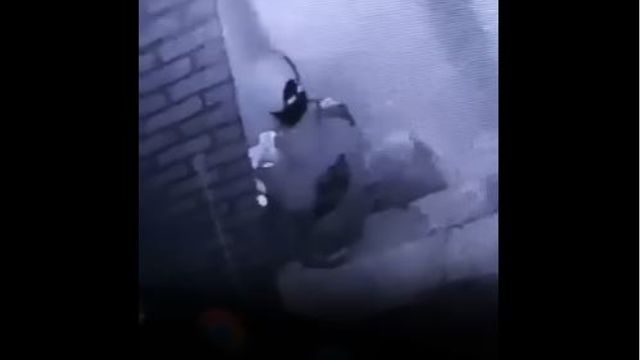 Cámaras de Seguridad en Escuelas en Arroyito