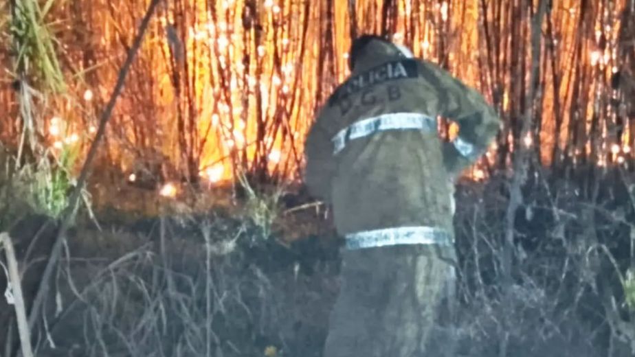 Gastona Sur: bomberos extinguieron un incendio que avanzaba sobre cañaverales