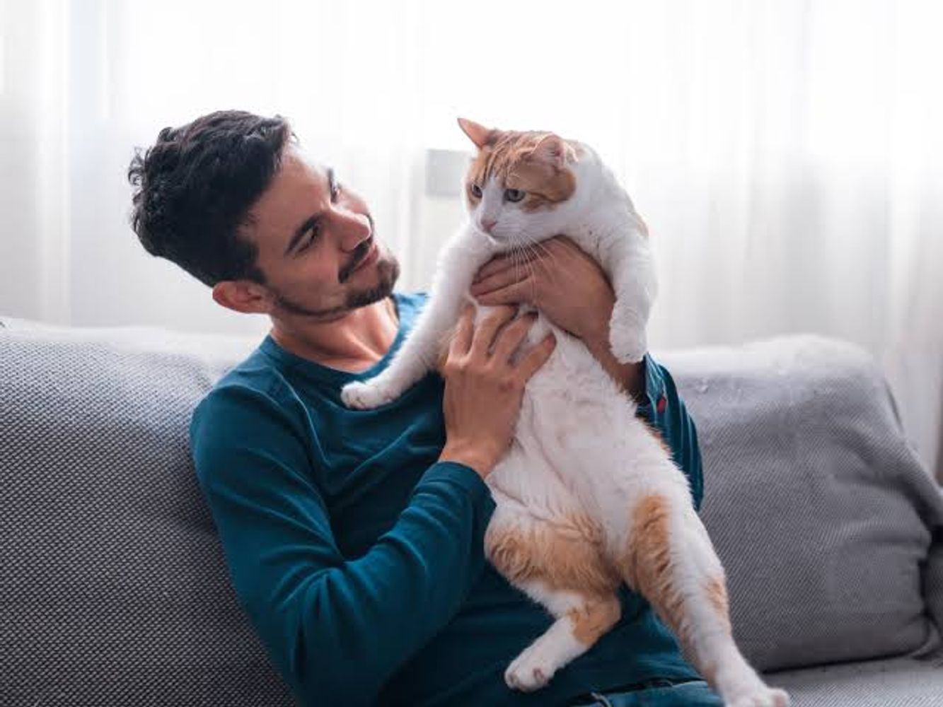 Los veterinarios coinciden: cuanto más cariño pide un gato, más apegado está a ti