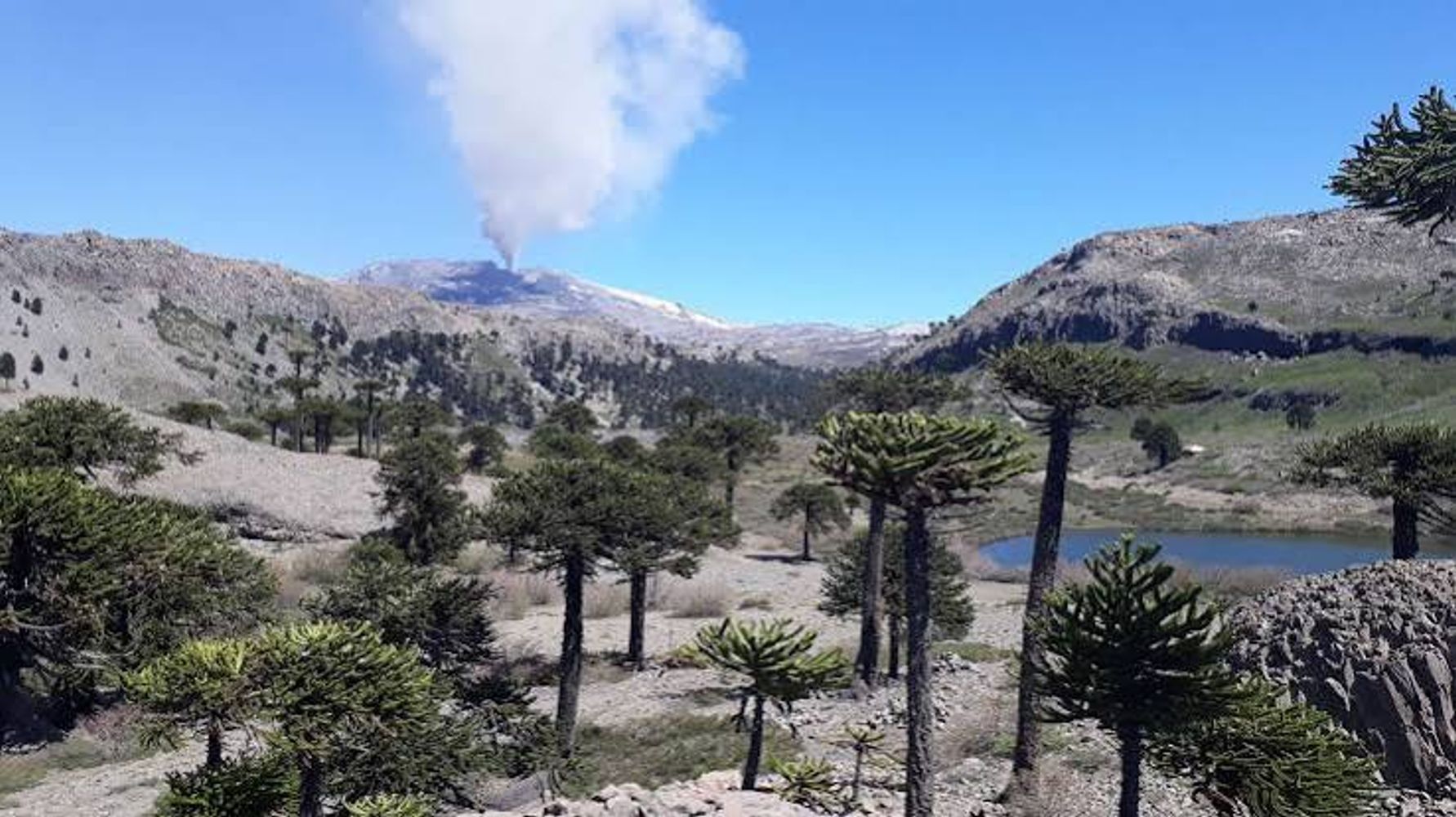 Copahue.