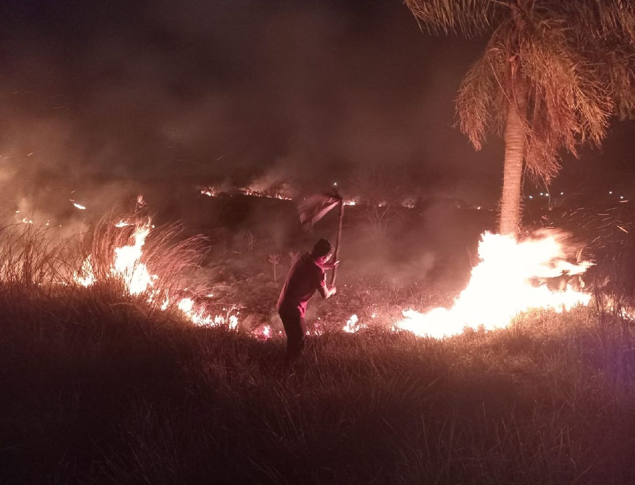 Bomberos trabajaron más de ocho horas para sofocar un incendio de 10 hectáreas en Posadas.