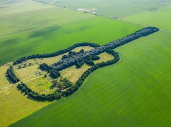 Plantó más de 7.000 árboles en Córdoba para crear una guitarra que se ve desde el espacio
