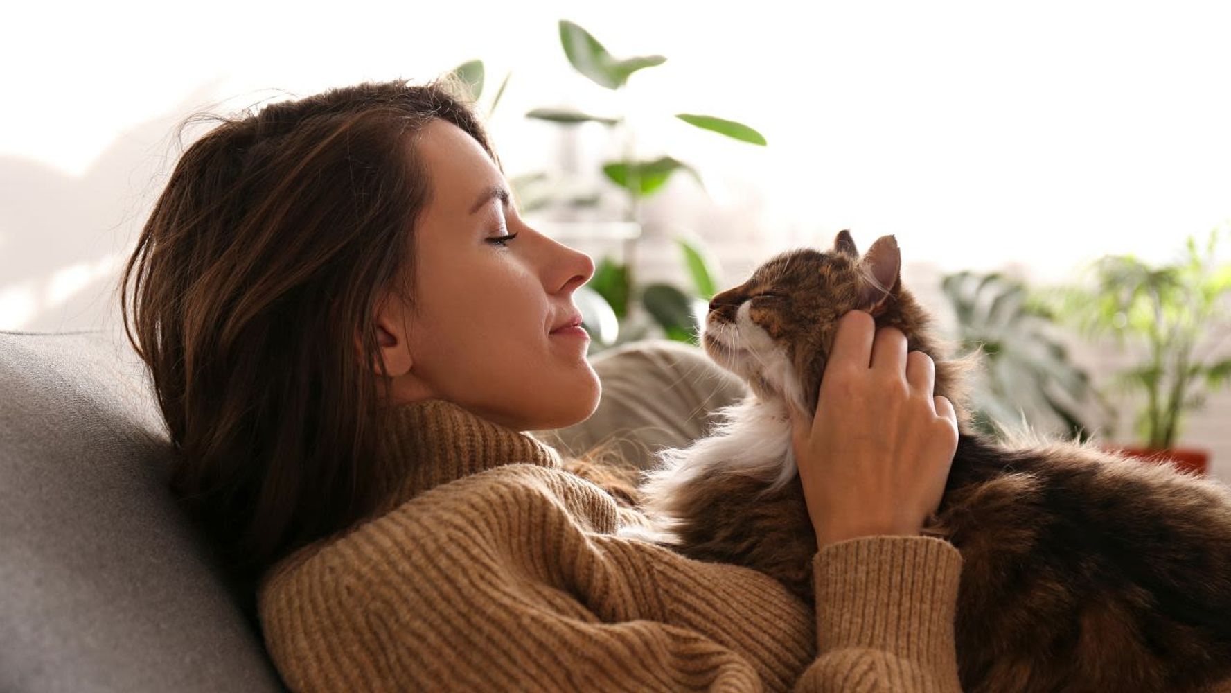 Los veterinarios coinciden: cuanto más cariño pide un gato, más apegado está a ti