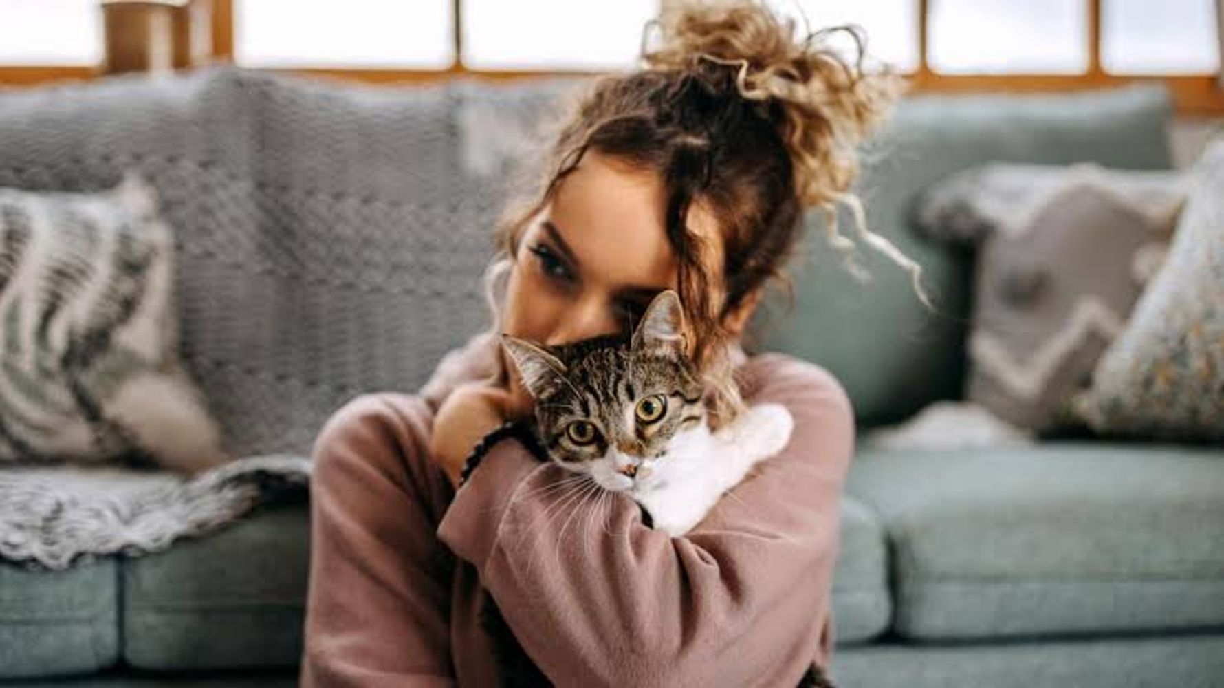 Los veterinarios coinciden: cuanto más cariño pide un gato, más apegado está a ti