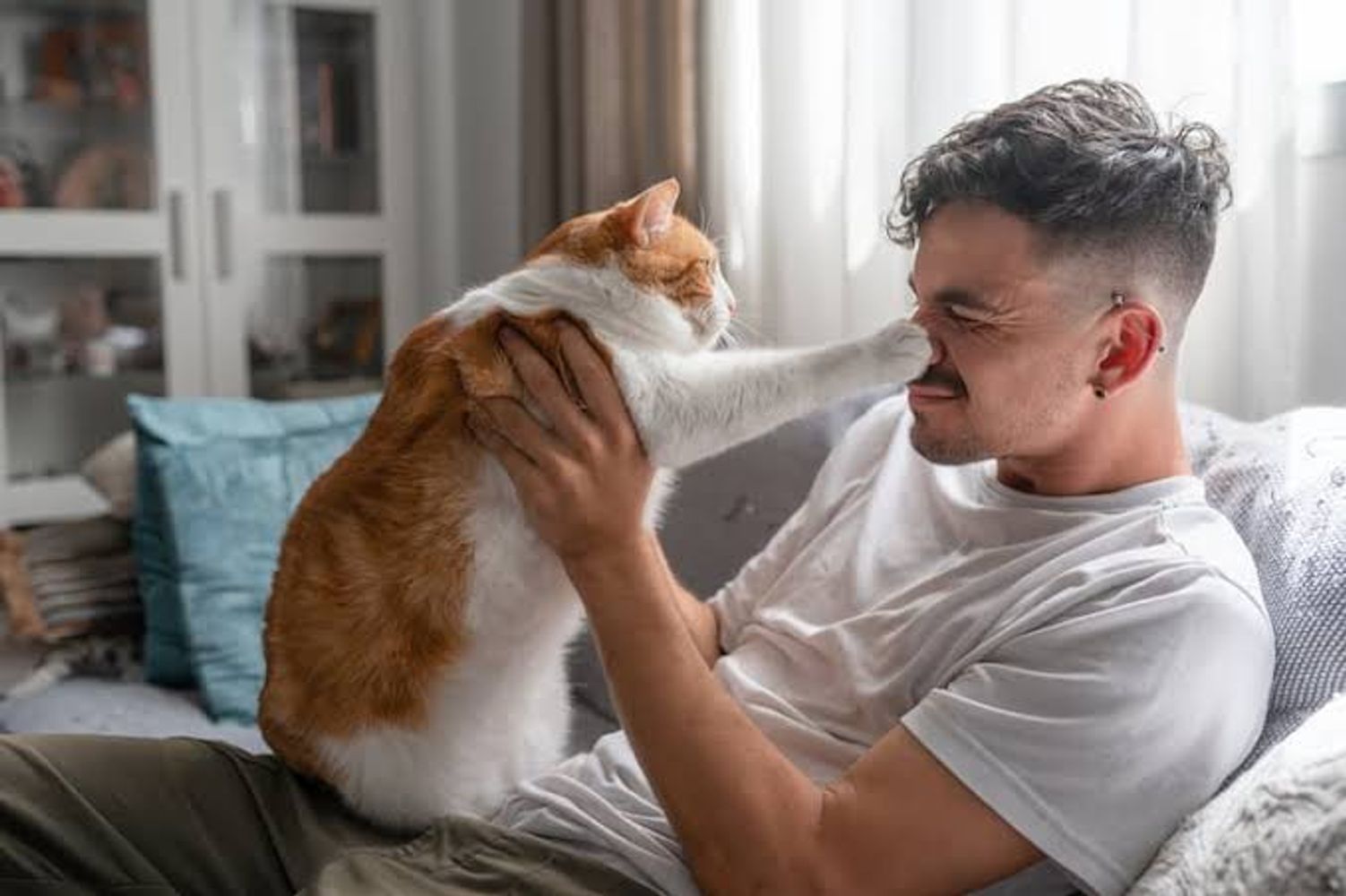 Los veterinarios coinciden: cuanto más cariño pide un gato, más apegado está a ti