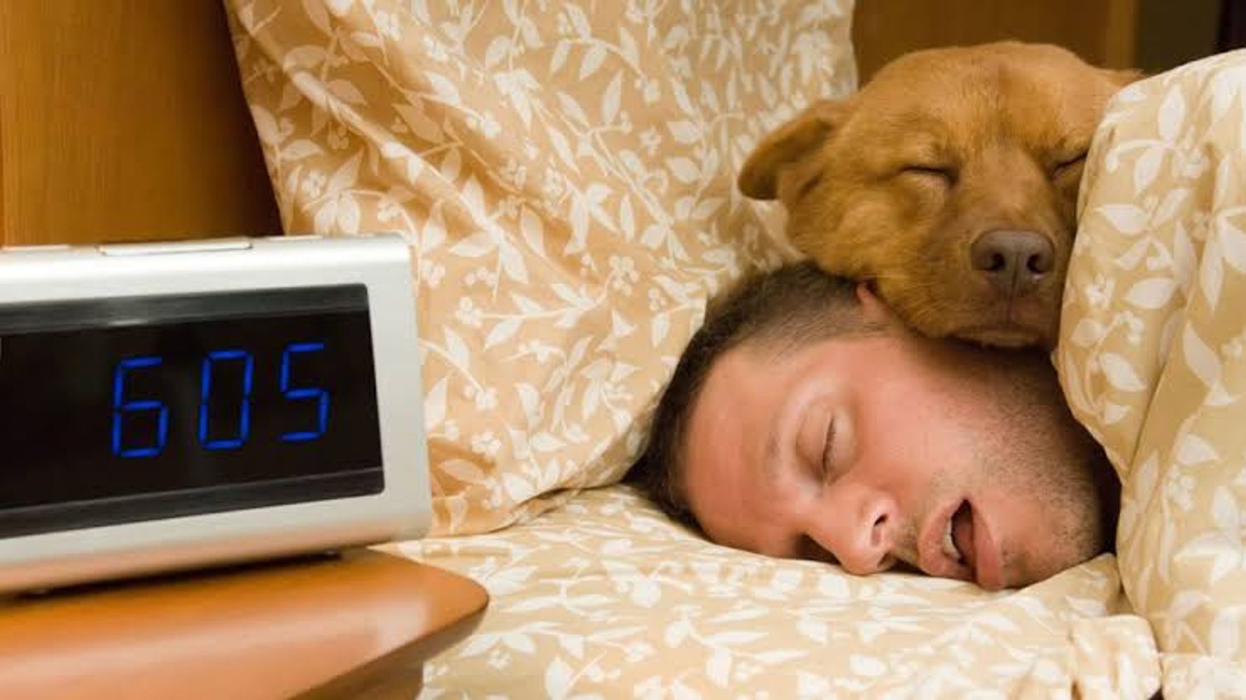 Sandra Mitchell, veterinaria: "No hay una respuesta corta y simple sobre dormir con tu perro en la misma cama. Es un quizá, una respuesta más complicada de lo que parece"