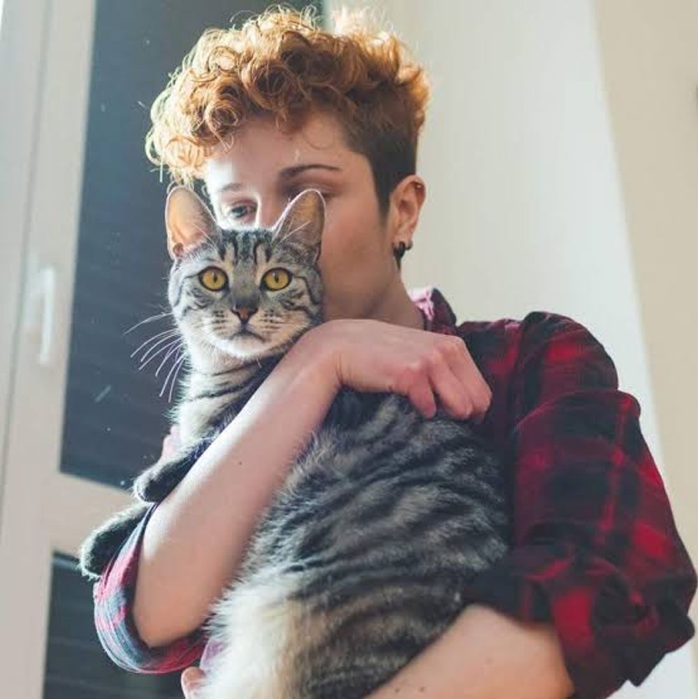 Los veterinarios advierten: las personas que besan a sus gatos en exceso están alterando las rutinas de su mascota