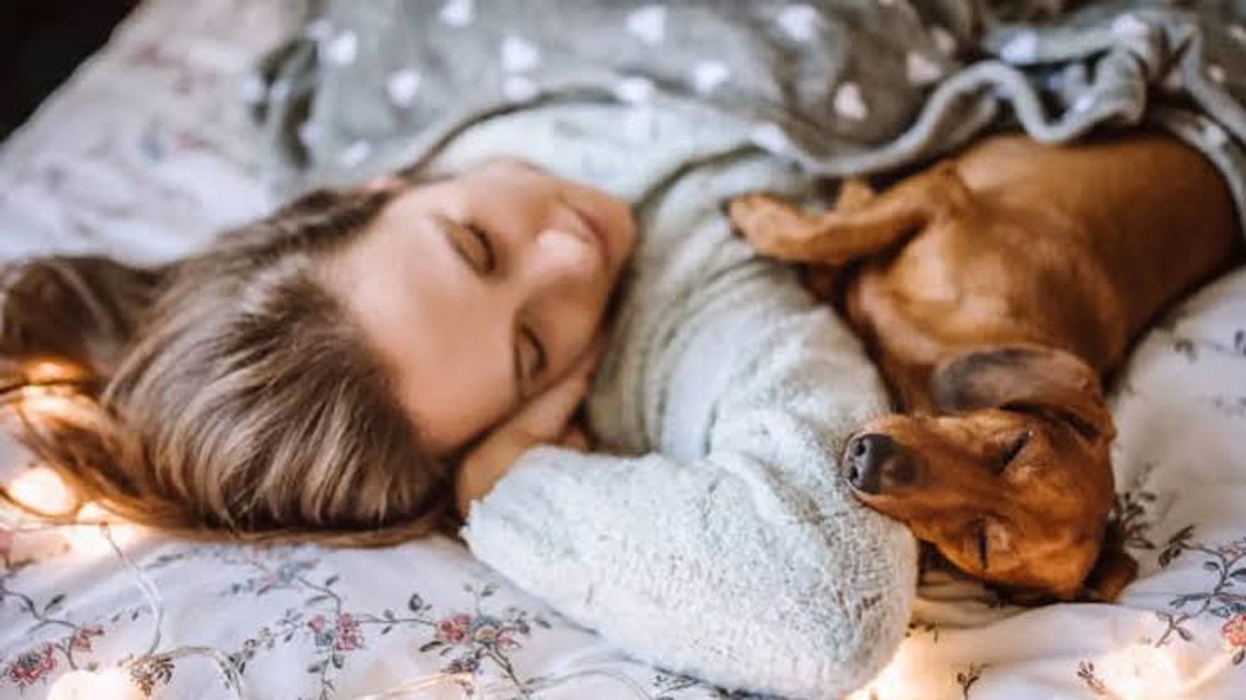 Sandra Mitchell, veterinaria: "No hay una respuesta corta y simple sobre dormir con tu perro en la misma cama. Es un quizá, una respuesta más complicada de lo que parece"