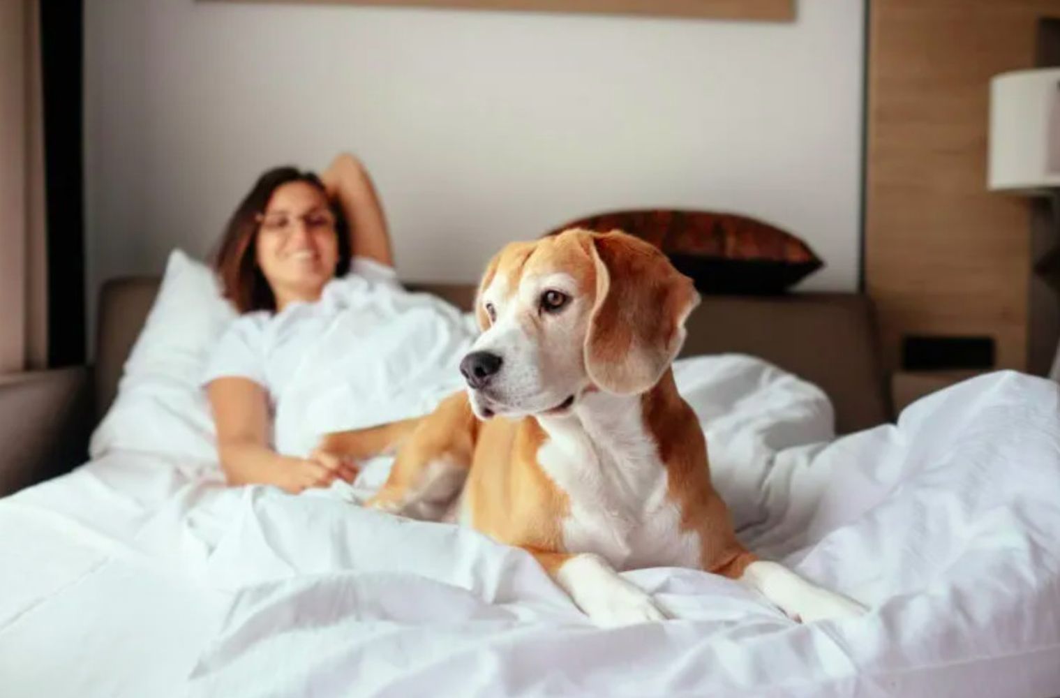 Sandra Mitchell, veterinaria: "No hay una respuesta corta y simple sobre dormir con tu perro en la misma cama. Es un quizá, una respuesta más complicada de lo que parece"