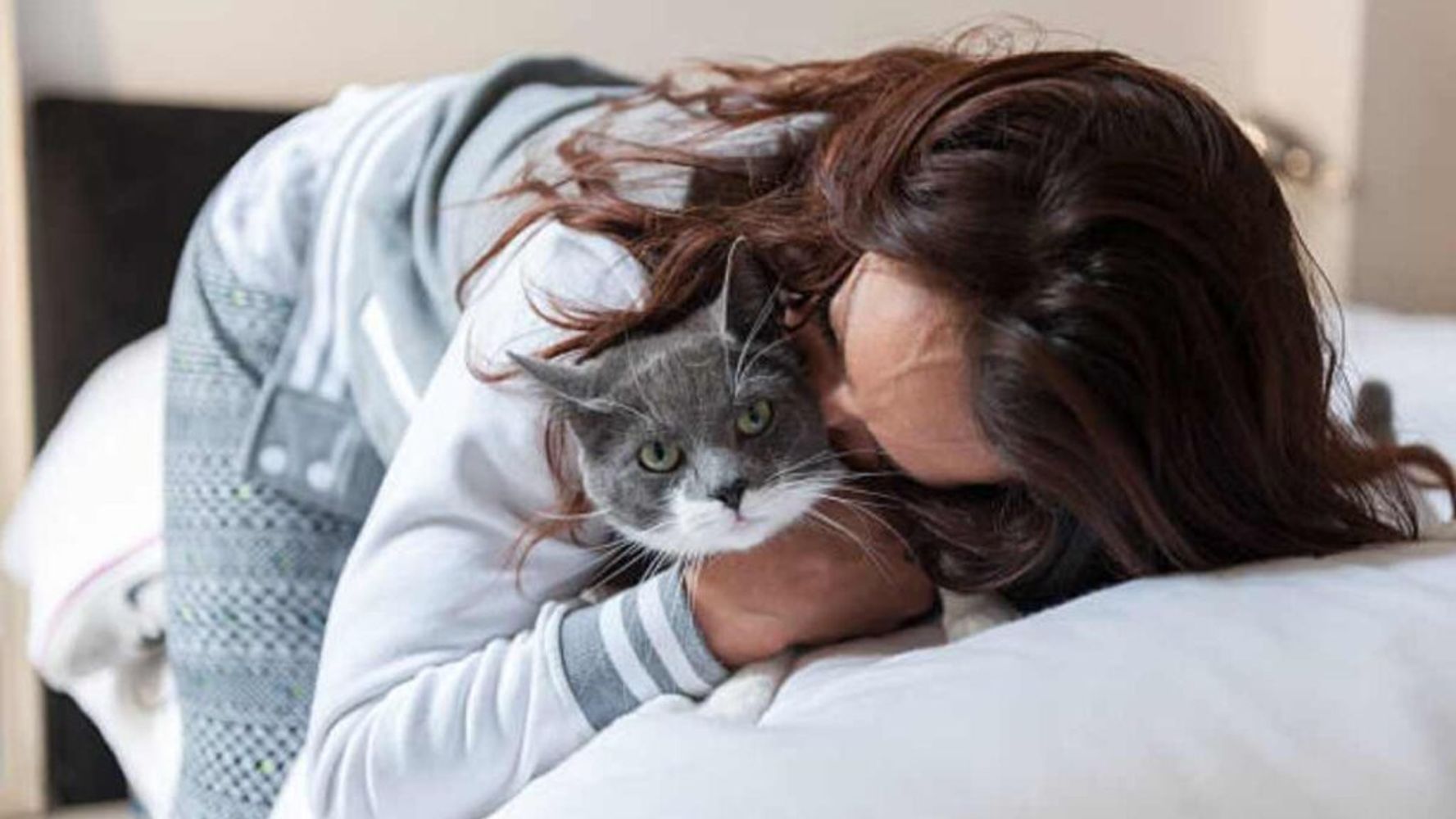 Los veterinarios advierten: las personas que besan a sus gatos en exceso están alterando las rutinas de su mascota