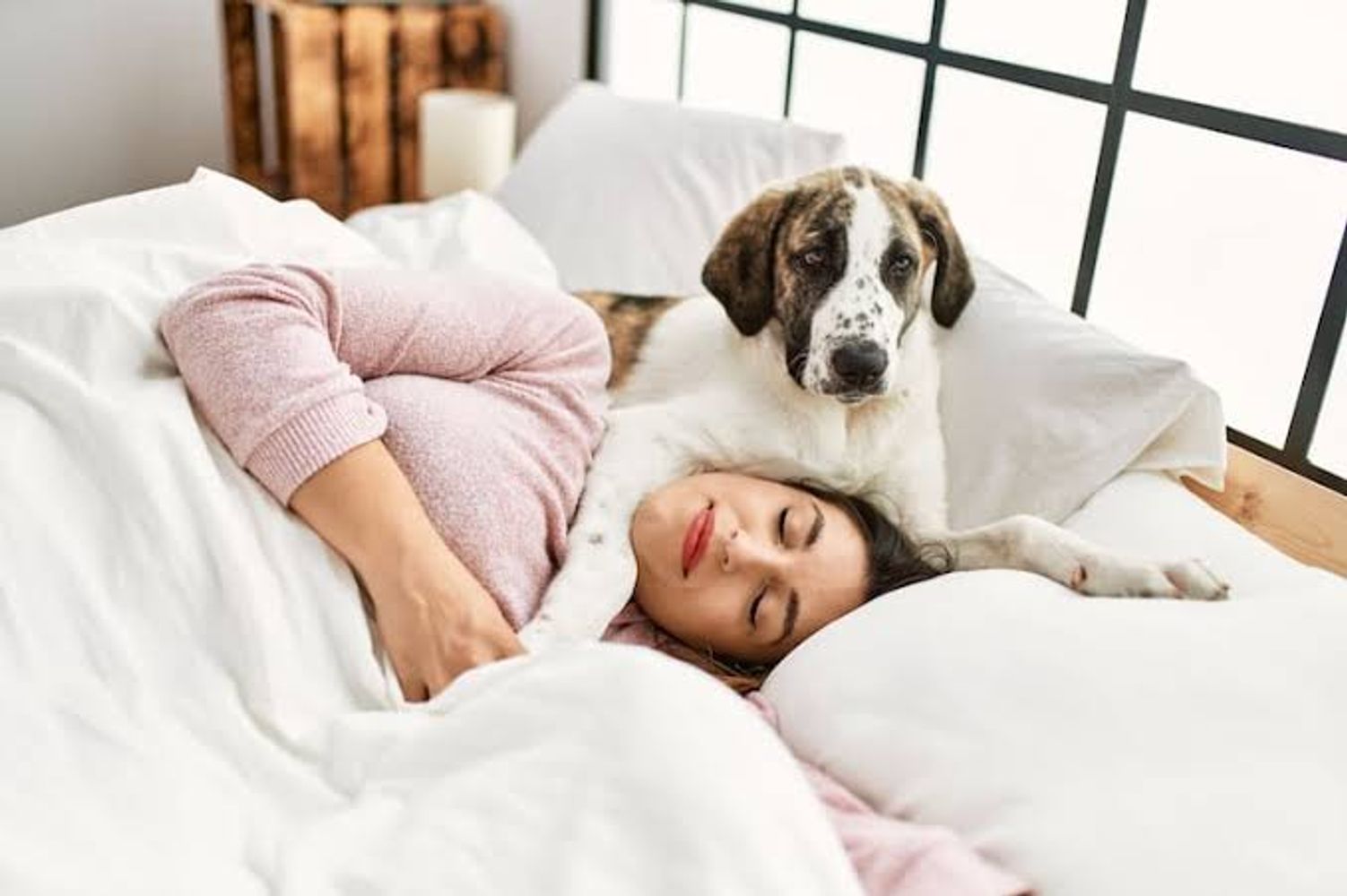 Sandra Mitchell, veterinaria: "No hay una respuesta corta y simple sobre dormir con tu perro en la misma cama. Es un quizá, una respuesta más complicada de lo que parece"
