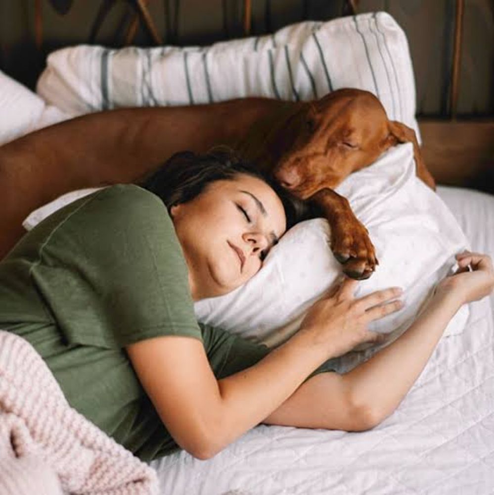 Sandra Mitchell, veterinaria: "No hay una respuesta corta y simple sobre dormir con tu perro en la misma cama. Es un quizá, una respuesta más complicada de lo que parece"