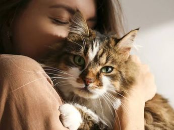 Los veterinarios advierten: las personas que besan a sus gatos en exceso están alterando las rutinas de su mascota