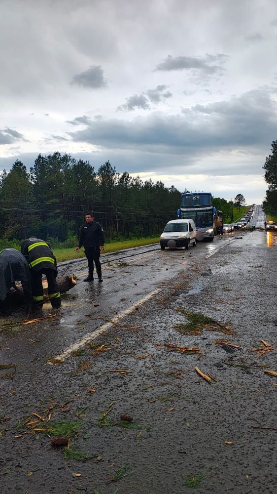 Temporal en Misiones: relevaron daños y asistieron a vecinos en El Soberbio, Roca y Corpus.