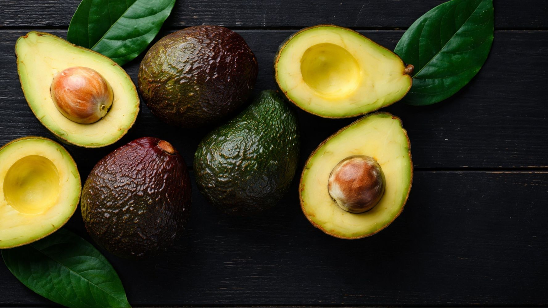 Palta.