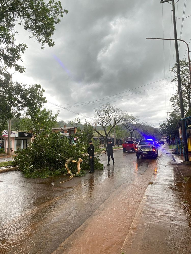 Temporal en Misiones: relevaron daños y asistieron a vecinos en El Soberbio, Roca y Corpus.