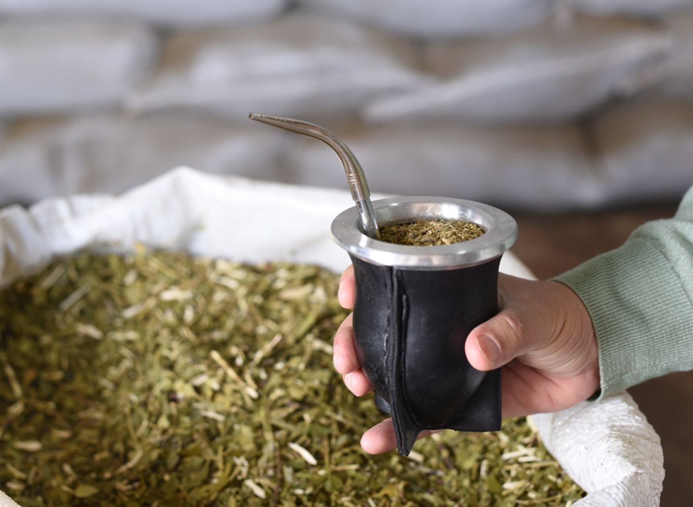 ¿La yerba mate tiene magnetismo? La teoría viral que fue analizada por un especialista