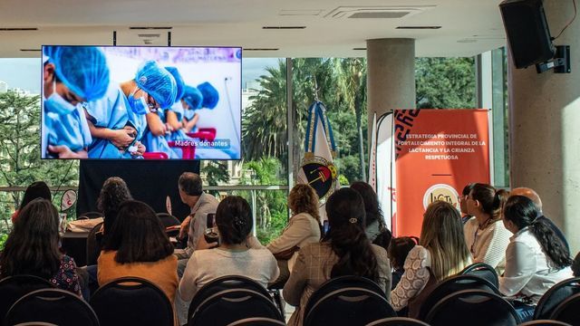 En el Congreso Interprovincial de Lactancias, Crianzas Diversas y Entornos Sostenibles llevado a cabo en esta capital participaron profesionales del Hospital Materno Infantil, integrantes de las comunidades de crianza de Salta y referentes de entidades nacionales abocadas al tema.