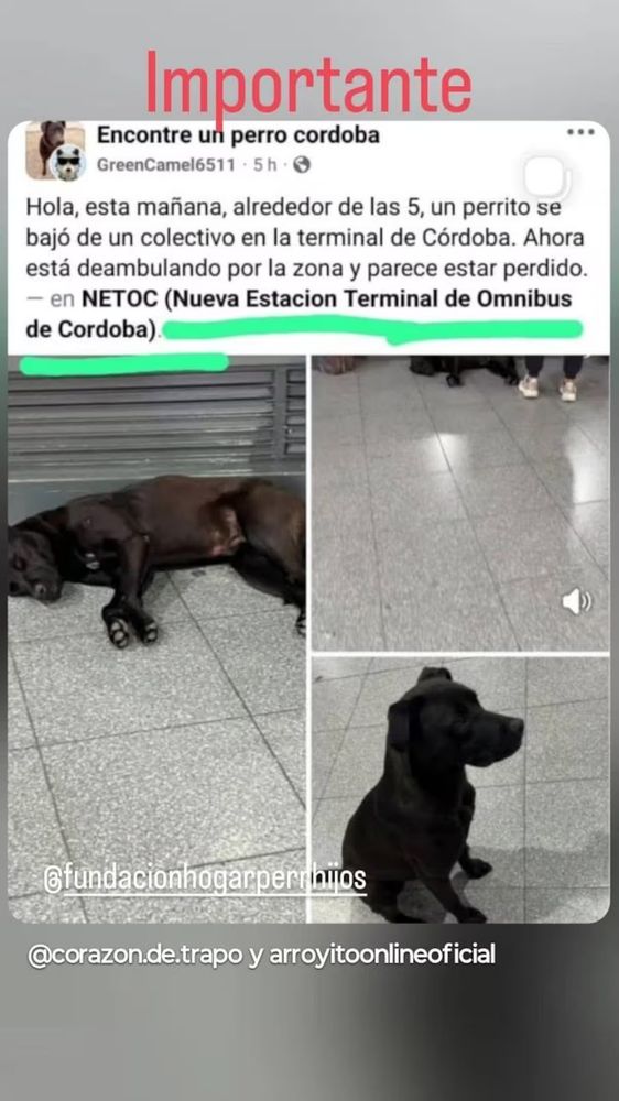 Diosito.
