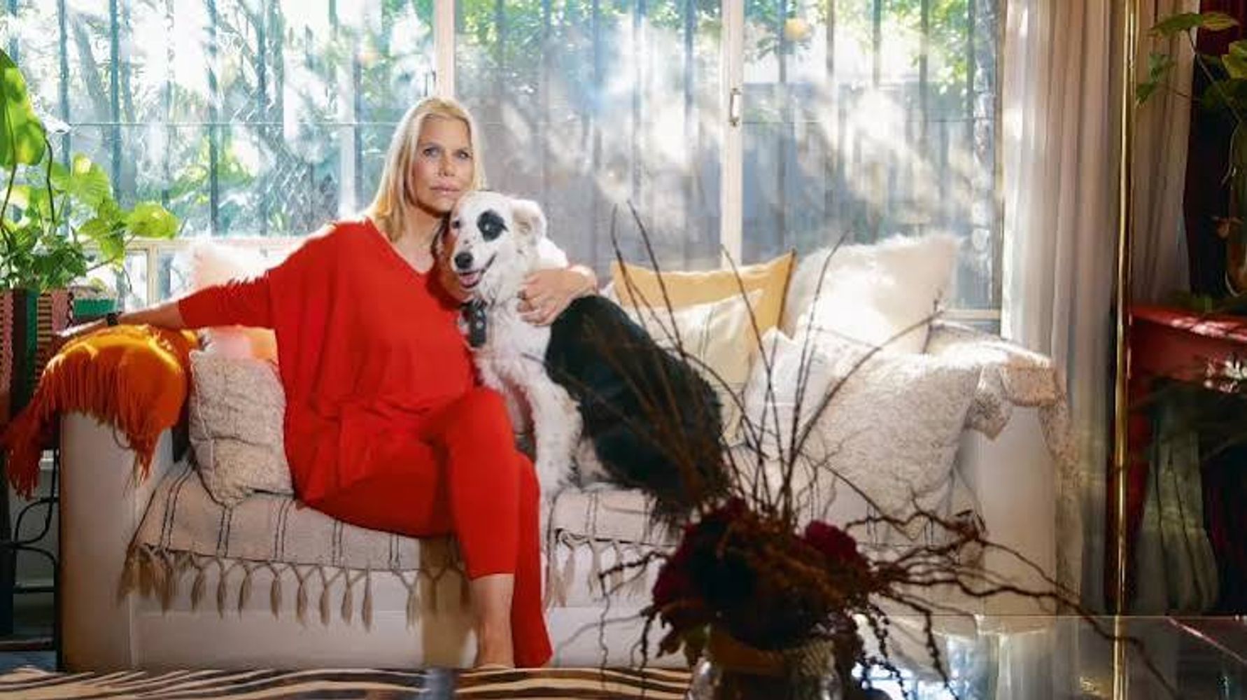 Jack, el perro de Gustavo Cerati.