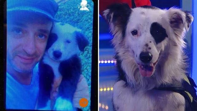Jack, el perro de Gustavo Cerati.