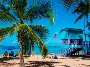 Buscan voluntarios para vivir gratis en una isla del Caribe: ofrecen alojamiento y comida por solo 20 horas de trabajo