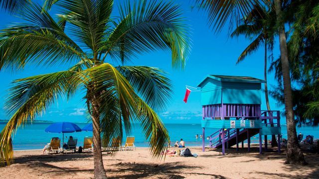 Buscan voluntarios para vivir gratis en una isla del Caribe: ofrecen alojamiento y comida por solo 20 horas de trabajo