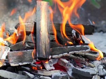 Guía rápida: qué palets son seguros para hacer el fuego del asado y no contaminan la carne